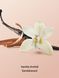 Скраб для тіла Victoria's Secret Vanilla Orchid Sandalwood  3772725567 фото 2