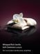Спрей для тіла Victoria's Secret Bare Vanilla Intense 556765 фото 2