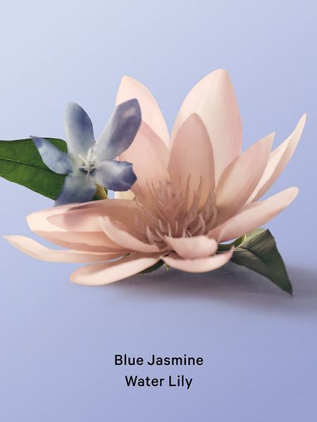 Лосьйон для тіла Victoria's Secret Blue Jasmine Water Lily  545212 фото
